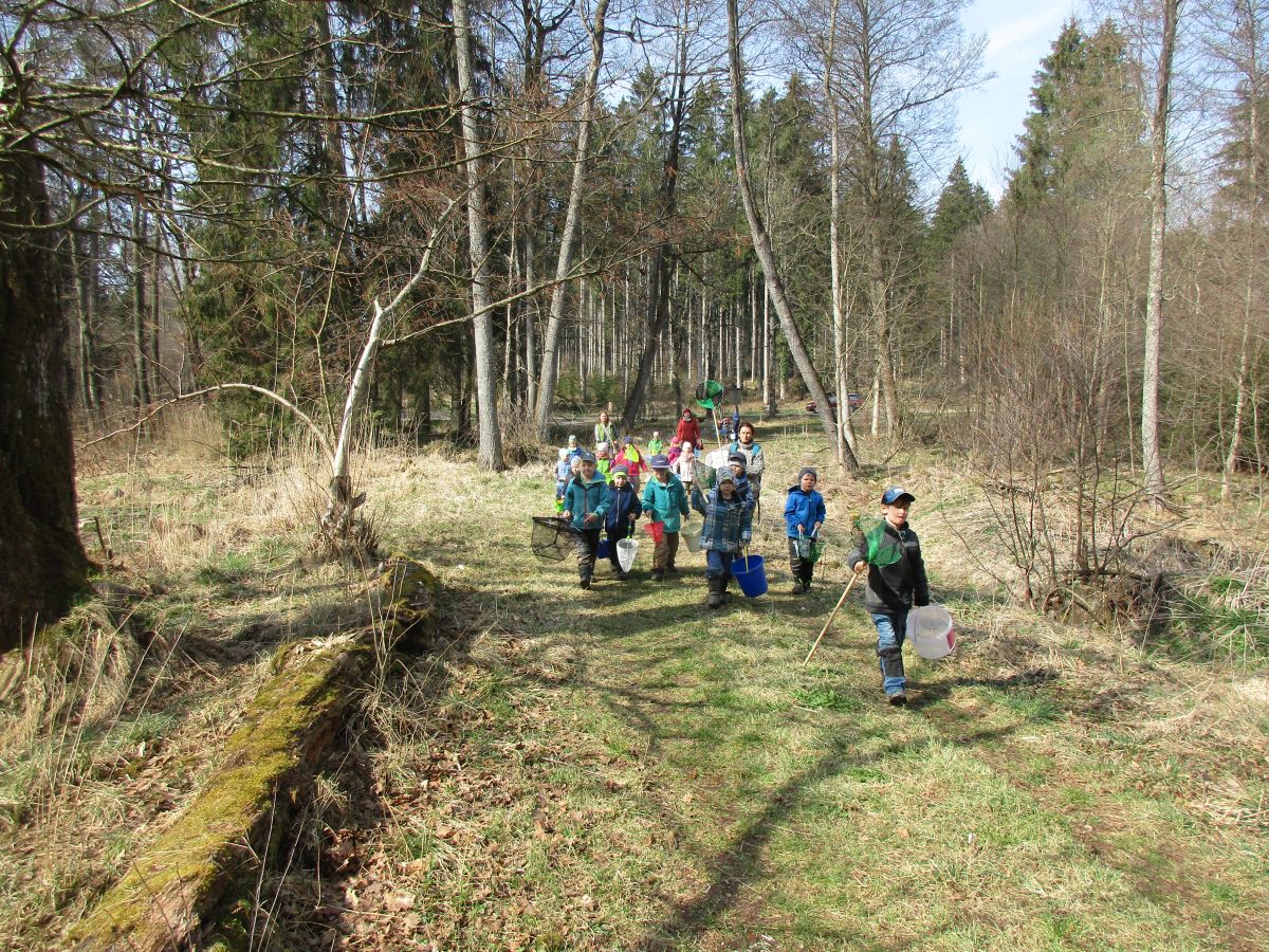 BILD KINDER BEIM KRÖTEN SAMMELN