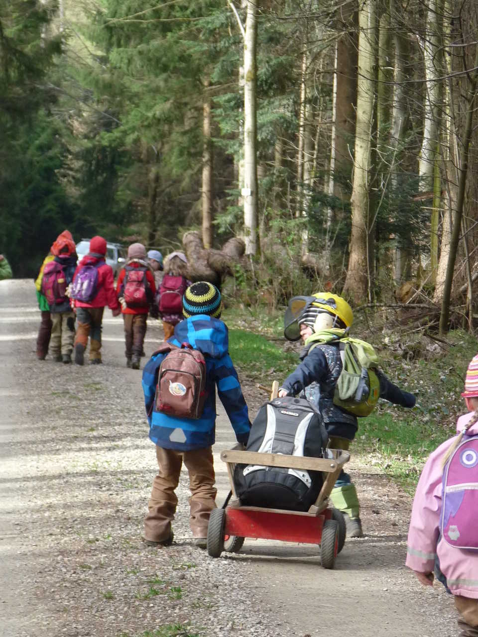 KINDERGRUPPE BEIM WANDERN IM WALD